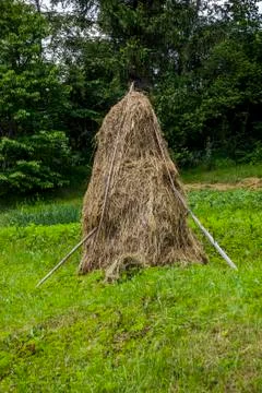 Stack of hay Stock Photos