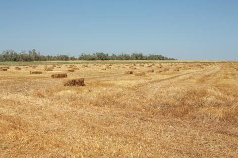 A stack of hay Stock Photos