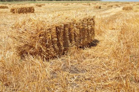 A stack of hay Stock Photos