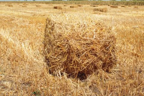 A stack of hay Stock Photos