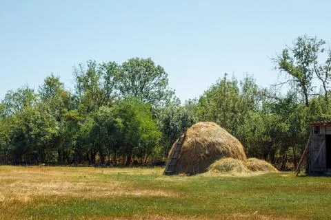 A stack of hay Stock Photos