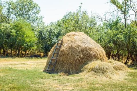 A stack of hay Foto stock