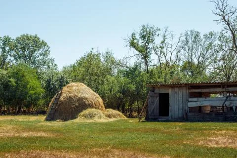 A stack of hay Stock Photos