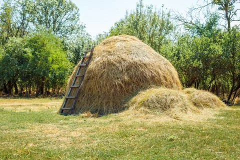 A stack of hay Stock Photos