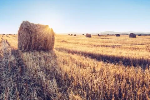 A stack of hay Stock Photos