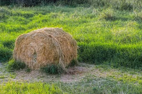 Stack of hay. Stock Photos