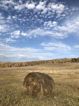 A stack of hay Stock Photos