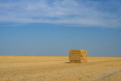 Stack of Hay Stock Photos