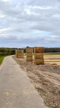 Stack of hay Stock Photos