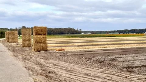 Stack of hay Stockfoto's