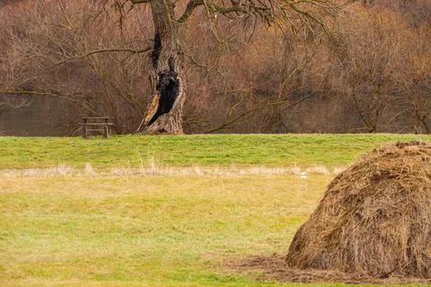 A stack of hay rests in the center of a lush meadow Stock Photos