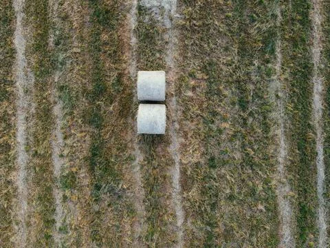 A stack of hay. Ripe grain field top view or drone shot. Harvesting period Stock Photos