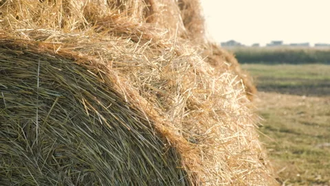 A stack of hay shot. Countryside haystack. Hayrick. Haymow footage. Stock Footage 99988863