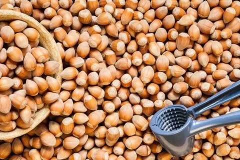 Stack of hazelnuts and nutcracker Stock Photos