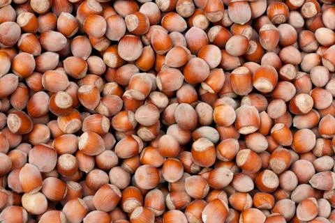 Stack of hazelnuts background filbert Stock Photos