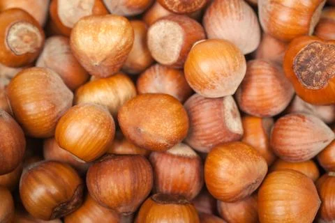 Stack of hazelnuts background Foto stock