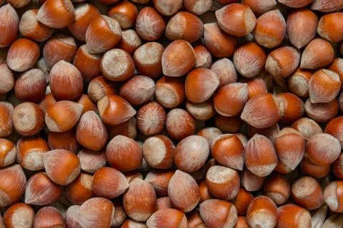 Stack of hazelnuts. Hazelnut background, selective focus Stock Photos