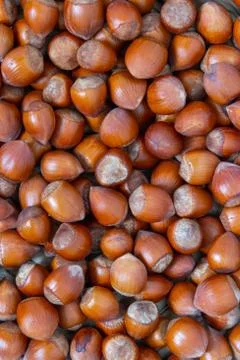 Stack of hazelnuts. Hazelnut background, selective focus 스톡 사진