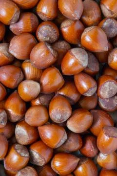 Stack of hazelnuts. Hazelnut background, selective focus Stock Photos