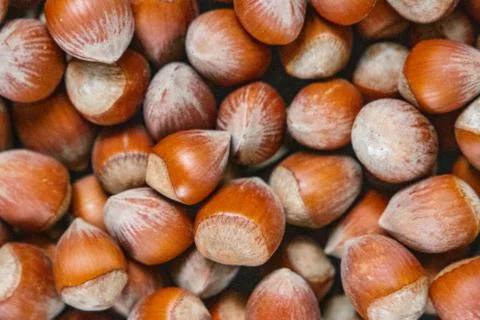 Stack of hazelnuts. Hazelnut background, selective focus 스톡 사진