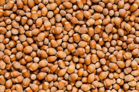 Stack of hazelnuts Stock Photos