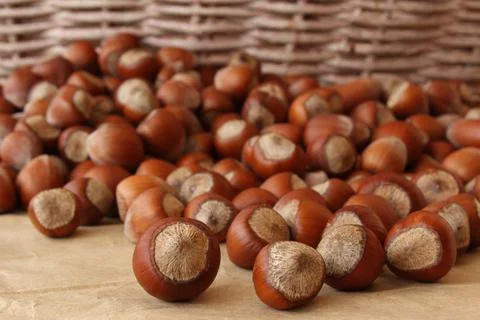 Stack of hazelnuts Stock Photos