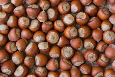 Stack of hazelnuts Stock Photos