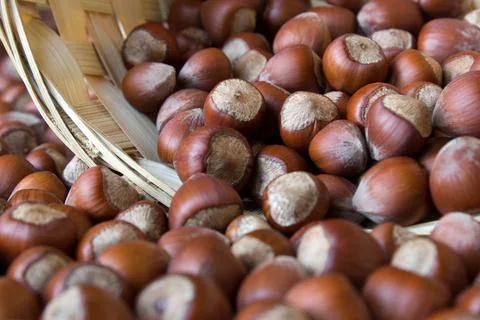 Stack of hazelnuts Stock Photos