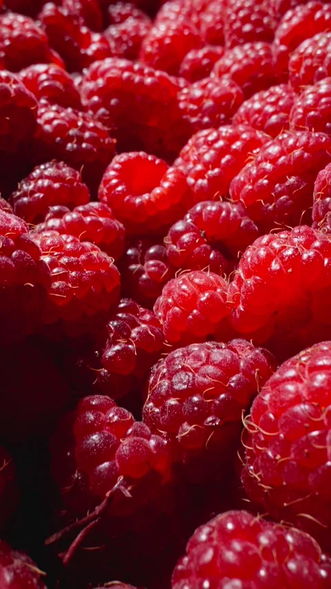 Stack of juicy ripe berries. Vertical video. Fresh raspberry fruits. Dolly zoom Stock Footage 290113557