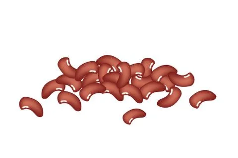 A Stack of Kidney Bean on White Background 스톡 일러스트