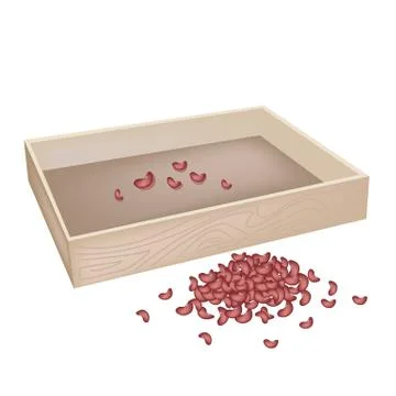 A Stack of Kidney Bean with Wooden Container Stock Illustration