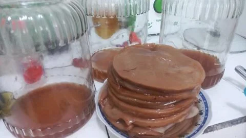 Stack of Kombucha SCOBY with Fermentation Jars at Home Stock Photos