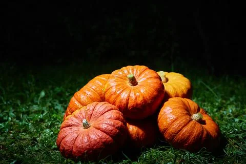 A stack of large orange pumpkins on the green grass at night. Autumn harvest Stock Illustration