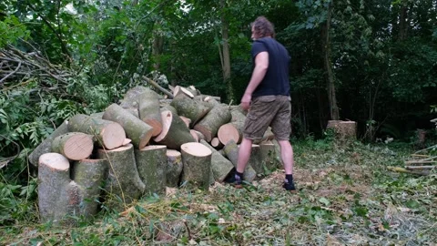 Stack of large pieces of wood, cut from a grove. Stock Footage 278862182