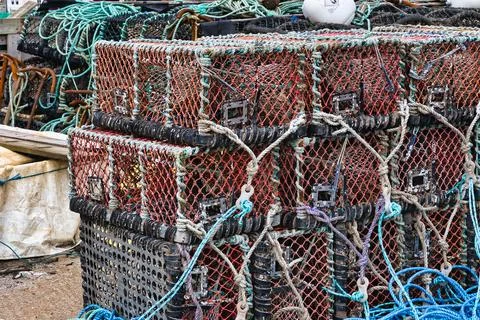 Stack of lobster traps with colorful ropes and nets Foto stock