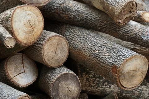 Stack of log for fuel in cook Stock Photos