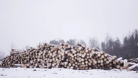 Stack of logs along road at sawmill covered in white snow on winter cloudy day Stock Footage 130877970