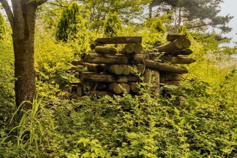 Stack of logs cut into stakes to be used for fence Stock Photos