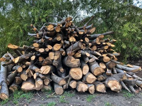 Stack of logs, logs for home heating and barbecue Stock Photos