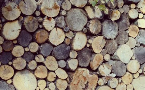 Stack of logs. A lot of cuted branches and trunks Natural wooden background. Stock Photos