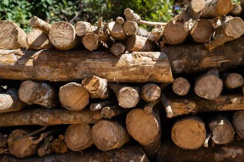 A stack of logs not neatly folded wall along and across Stock Photos