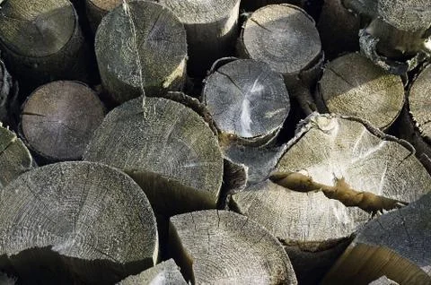 Stack of logs Stock Photos