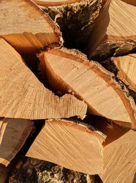 Stack of logs Stock Photos