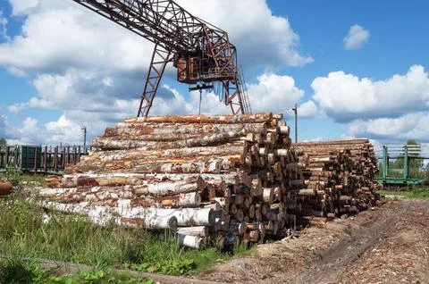 Stack of logs at railway station Stock Photos