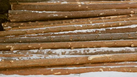 Stack of logs on snow Stock Footage 86925342
