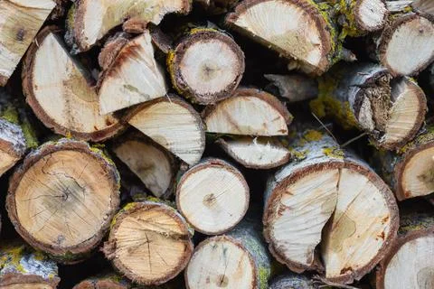 Stack of logs. Stack of firewood close up. Logs cuts prepared for fireplac... 스톡 사진