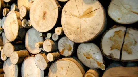 Stack of Logs/Chopped Trees Tracking Shot Stock Footage 65765817