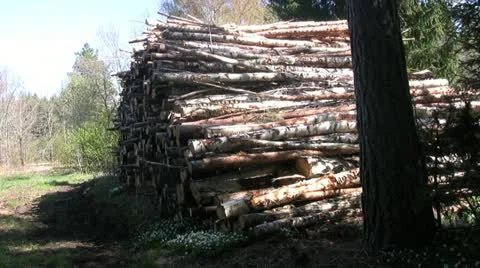 Stack of lumber Stock Footage 10926149