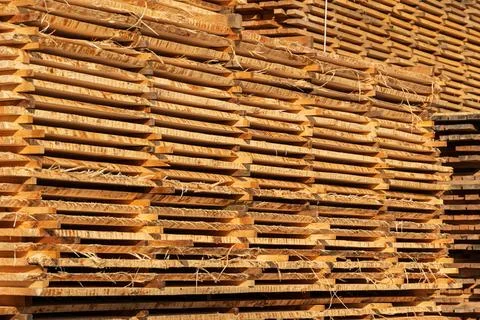 Stack of lumber of a wooden board from a tree. Stock-Fotos