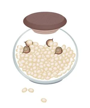 A Stack of Macadamia Nuts in A jar 库存插图